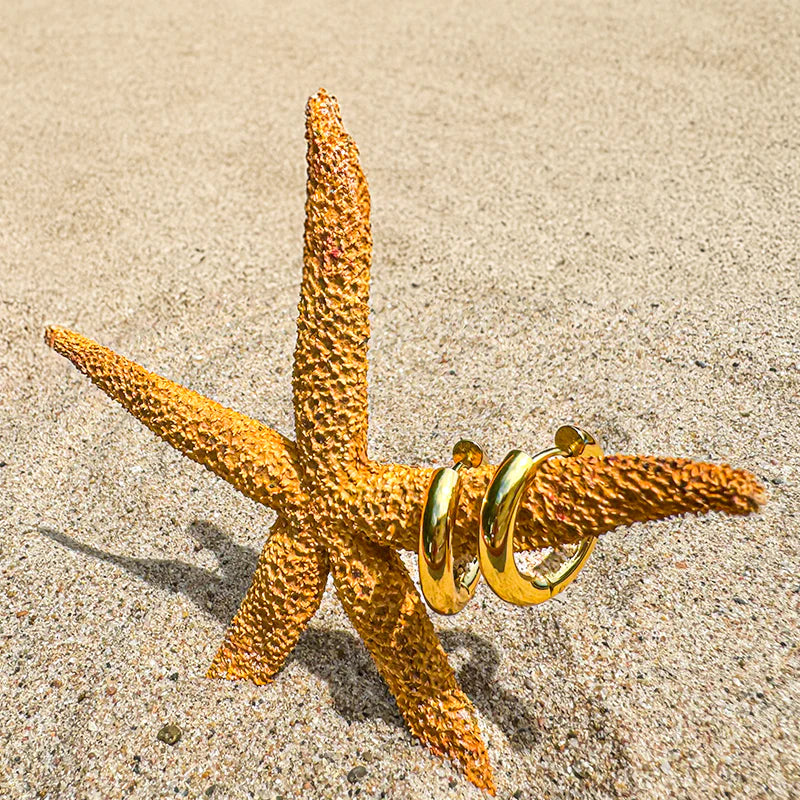 Solid 18K Gold Stainless Steel Hoop Earring For Women