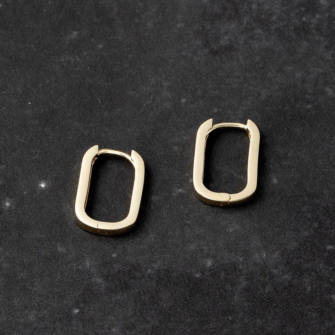 Roundup Square 18K Gold Stainless Steel Hoop Earring For Women